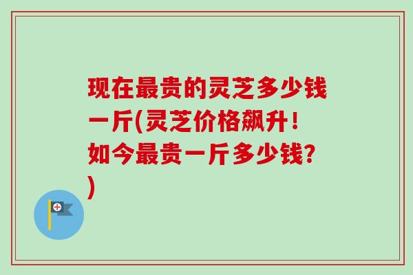 现在最贵的灵芝多少钱一斤(灵芝价格飙升！如今最贵一斤多少钱？)