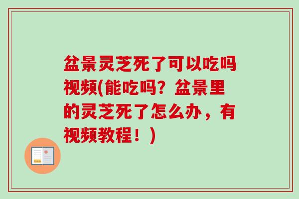 盆景灵芝死了可以吃吗视频(能吃吗？盆景里的灵芝死了怎么办，有视频教程！)