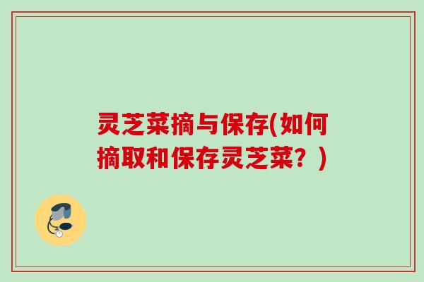 灵芝菜摘与保存(如何摘取和保存灵芝菜？)