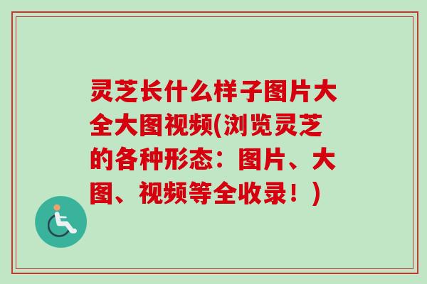 灵芝长什么样子图片大全大图视频(浏览灵芝的各种形态：图片、大图、视频等全收录！)