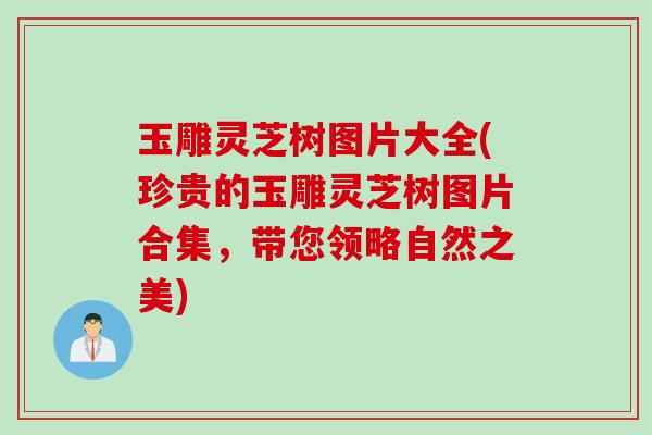 玉雕灵芝树图片大全(珍贵的玉雕灵芝树图片合集，带您领略自然之美)