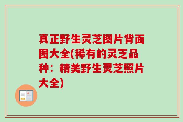 真正野生灵芝图片背面图大全(稀有的灵芝品种：精美野生灵芝照片大全)