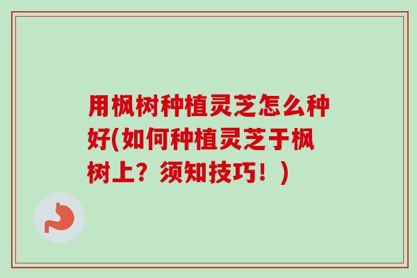 用枫树种植灵芝怎么种好(如何种植灵芝于枫树上？须知技巧！)