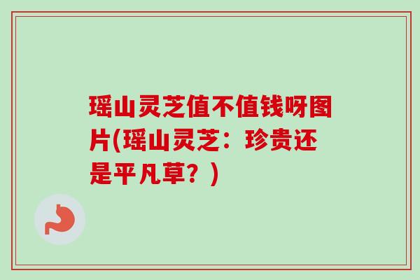 瑶山灵芝值不值钱呀图片(瑶山灵芝：珍贵还是平凡草？)