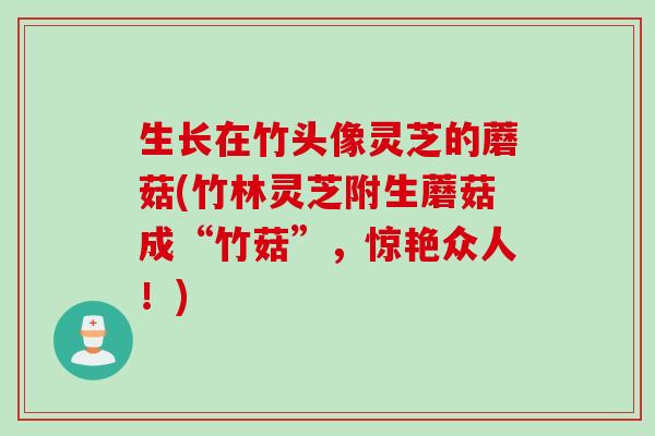 生长在竹头像灵芝的蘑菇(竹林灵芝附生蘑菇成“竹菇”，惊艳众人！)