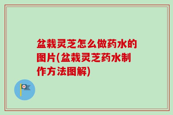 盆栽灵芝怎么做药水的图片(盆栽灵芝药水制作方法图解)