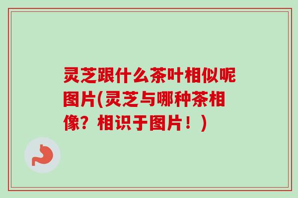 灵芝跟什么茶叶相似呢图片(灵芝与哪种茶相像？相识于图片！)