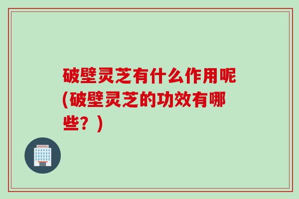 破壁灵芝有什么作用呢(破壁灵芝的功效有哪些？)