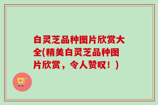 白灵芝品种图片欣赏大全(精美白灵芝品种图片欣赏，令人赞叹！)