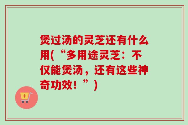 煲过汤的灵芝还有什么用(“多用途灵芝：不仅能煲汤，还有这些神奇功效！”)