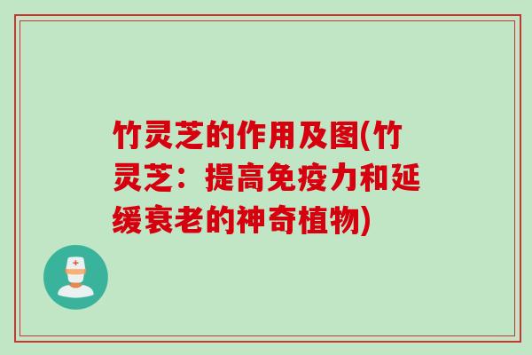 竹灵芝的作用及图(竹灵芝：提高免疫力和延缓衰老的神奇植物)