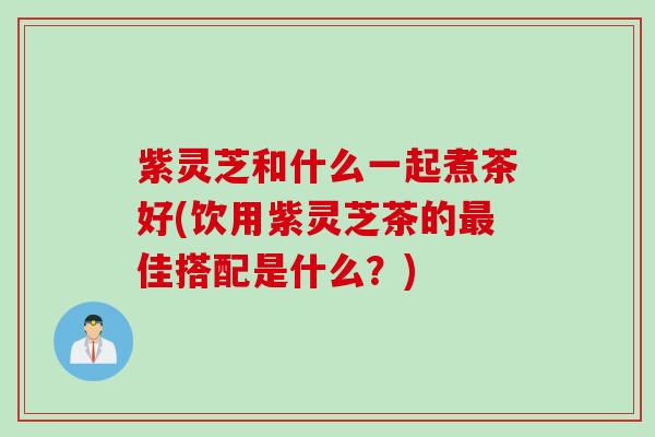 紫灵芝和什么一起煮茶好(饮用紫灵芝茶的最佳搭配是什么？)
