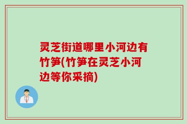 灵芝街道哪里小河边有竹笋(竹笋在灵芝小河边等你采摘)