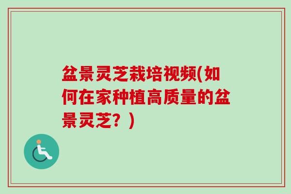 盆景灵芝栽培视频(如何在家种植高质量的盆景灵芝？)