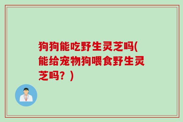狗狗能吃野生灵芝吗(能给宠物狗喂食野生灵芝吗？)