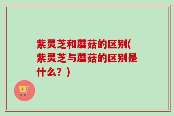 紫灵芝和蘑菇的区别(紫灵芝与蘑菇的区别是什么？)