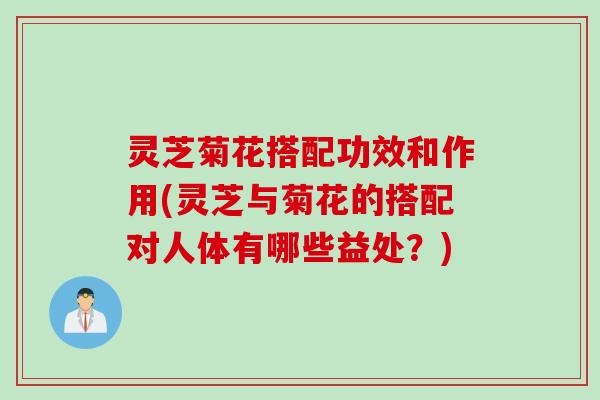 灵芝菊花搭配功效和作用(灵芝与菊花的搭配对人体有哪些益处？)