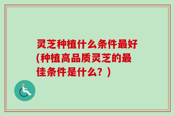 灵芝种植什么条件最好(种植高品质灵芝的最佳条件是什么？)