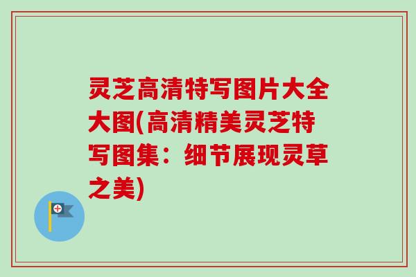 灵芝高清特写图片大全大图(高清精美灵芝特写图集：细节展现灵草之美)