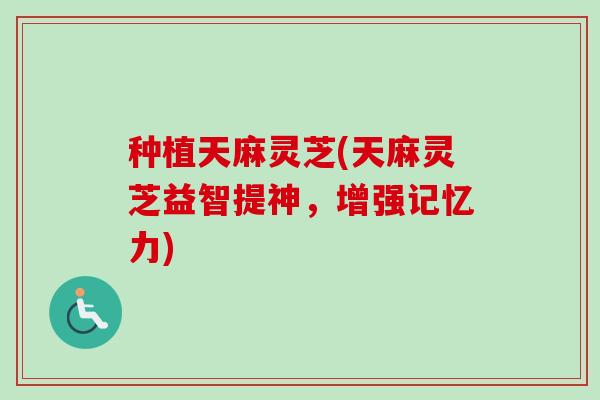种植天麻灵芝(天麻灵芝益智提神，增强记忆力)