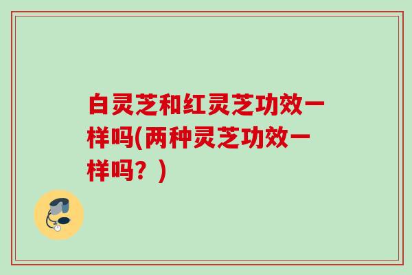 白灵芝和红灵芝功效一样吗(两种灵芝功效一样吗？)