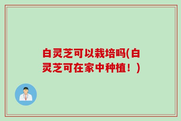 白灵芝可以栽培吗(白灵芝可在家中种植！)
