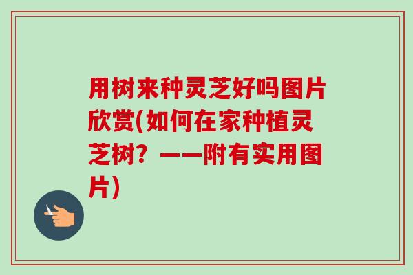 用树来种灵芝好吗图片欣赏(如何在家种植灵芝树？——附有实用图片)