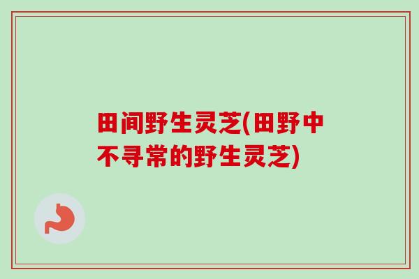 田间野生灵芝(田野中不寻常的野生灵芝)