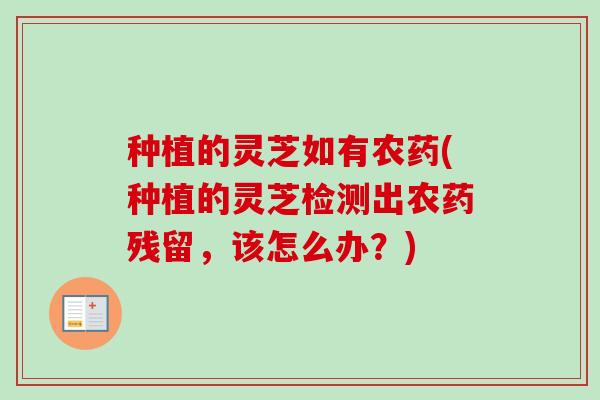 种植的灵芝如有农药(种植的灵芝检测出农药残留，该怎么办？)