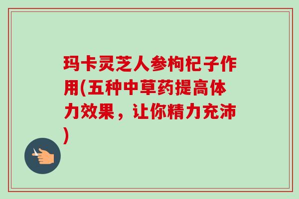 玛卡灵芝人参枸杞子作用(五种中草药提高体力效果，让你精力充沛)