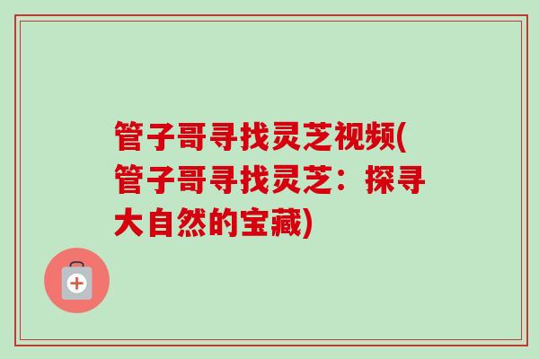 管子哥寻找灵芝视频(管子哥寻找灵芝：探寻大自然的宝藏)