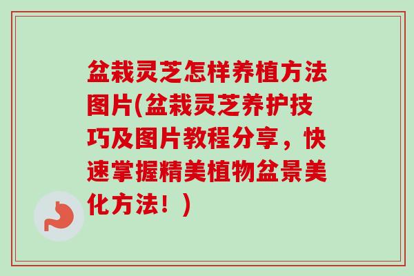 盆栽灵芝怎样养植方法图片(盆栽灵芝养护技巧及图片教程分享，快速掌握精美植物盆景美化方法！)