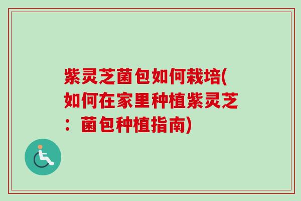 紫灵芝菌包如何栽培(如何在家里种植紫灵芝：菌包种植指南)
