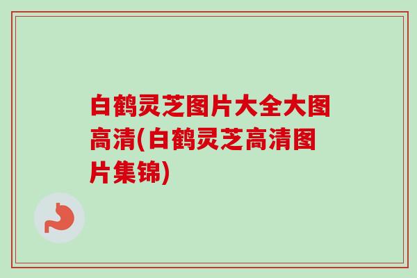 白鹤灵芝图片大全大图高清(白鹤灵芝高清图片集锦)