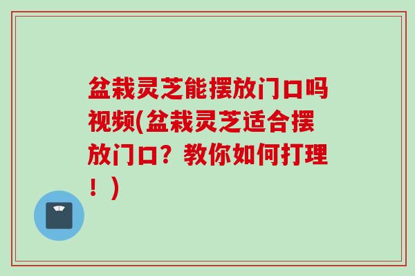 盆栽灵芝能摆放门口吗视频(盆栽灵芝适合摆放门口？教你如何打理！)