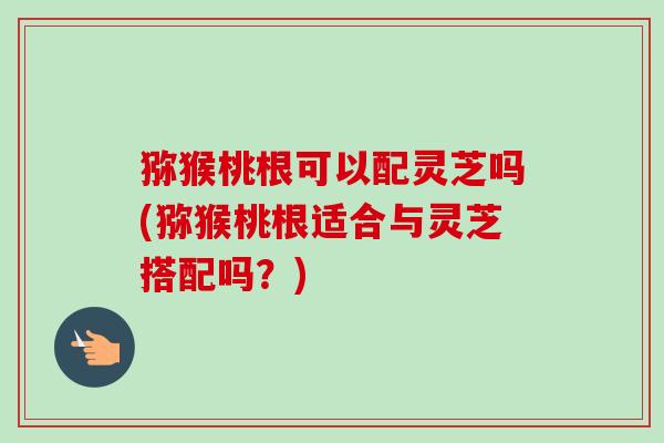 猕猴桃根可以配灵芝吗(猕猴桃根适合与灵芝搭配吗?) 猕猴桃根可以配灵芝吗(猕猴桃根适合与灵芝搭配吗?)