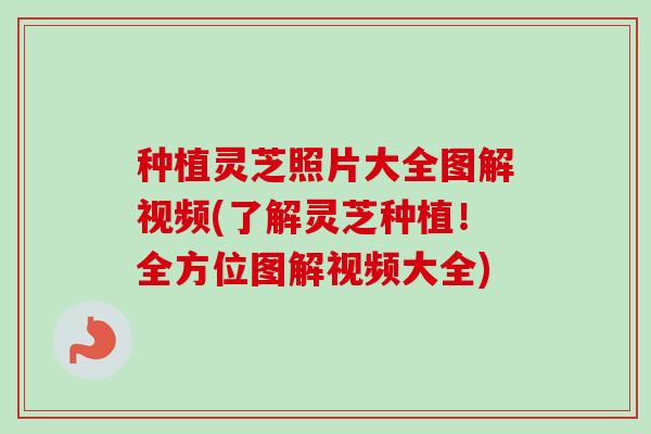 种植灵芝照片大全图解视频(了解灵芝种植！全方位图解视频大全)