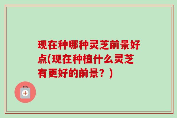 现在种哪种灵芝前景好点(现在种植什么灵芝有更好的前景？)