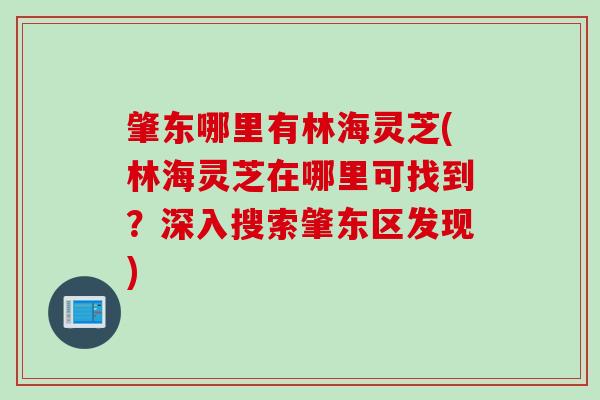 肇东哪里有林海灵芝(林海灵芝在哪里可找到？深入搜索肇东区发现)