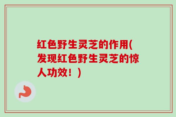 红色野生灵芝的作用(发现红色野生灵芝的惊人功效！)