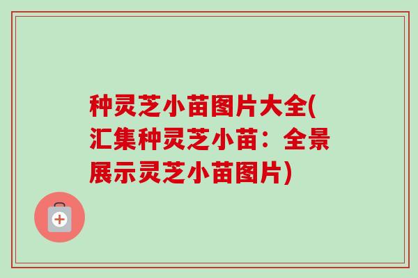 种灵芝小苗图片大全(汇集种灵芝小苗：全景展示灵芝小苗图片)