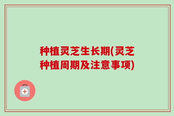 种植灵芝生长期(灵芝种植周期及注意事项) 种植灵芝生长期(灵芝种植周期及注意事项)