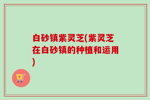 白砂镇紫灵芝(紫灵芝在白砂镇的种植和运用)