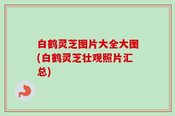 白鹤灵芝图片大全大图(白鹤灵芝壮观照片汇总)