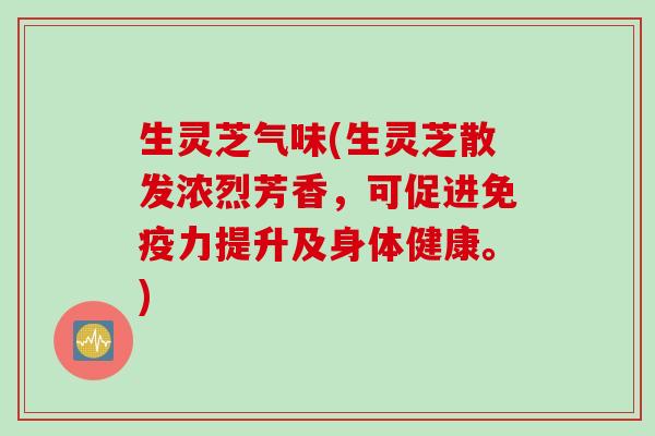 生灵芝气味(生灵芝散发浓烈芳香，可促进免疫力提升及身体健康。)
