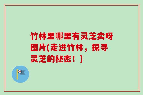 竹林里哪里有灵芝卖呀图片(走进竹林，探寻灵芝的秘密！)