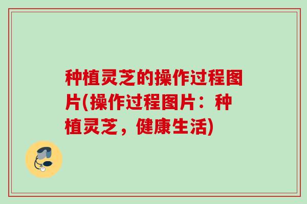 种植灵芝的操作过程图片(操作过程图片：种植灵芝，健康生活)