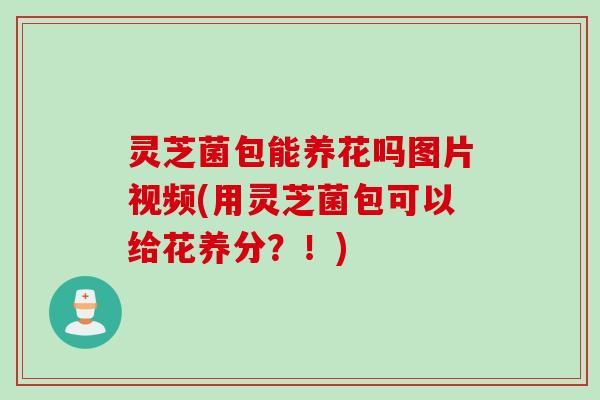 灵芝菌包能养花吗图片视频(用灵芝菌包可以给花养分？！)