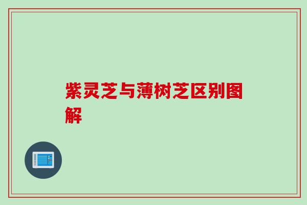 紫灵芝与薄树芝区别图解