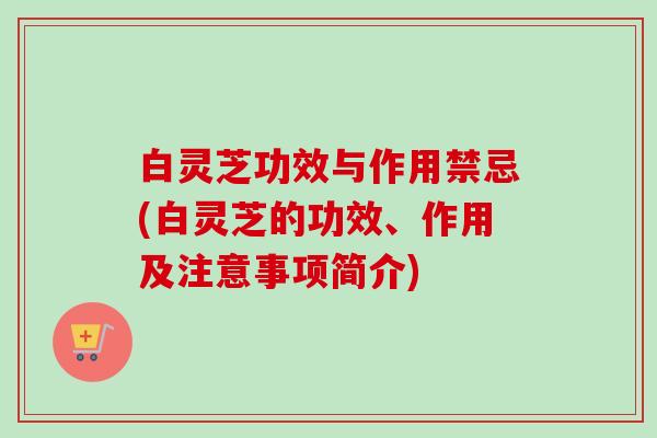 白灵芝功效与作用禁忌(白灵芝的功效、作用及注意事项简介)